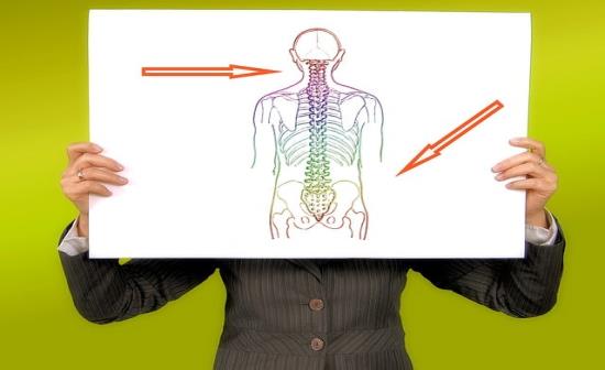 Come la colonna vertebrale esplica la sua funzione: oltre alla posizione eretta garantisce protezione per il midollo spinale.